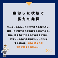 画像291