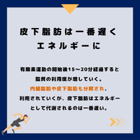 画像303
