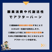 画像318