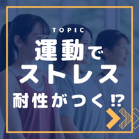 画像322