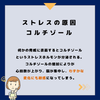 画像323