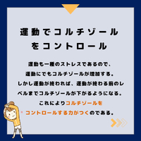画像324