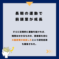 画像331