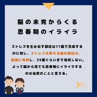 画像336