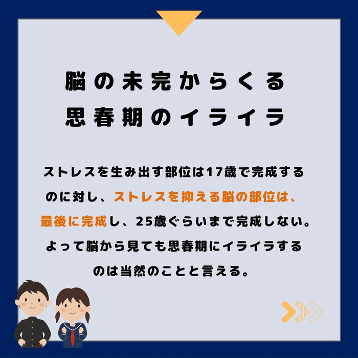 画像336