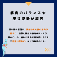 画像384
