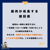 画像407
