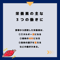 画像473