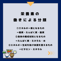 画像474