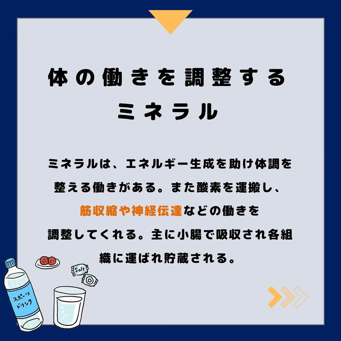 画像523