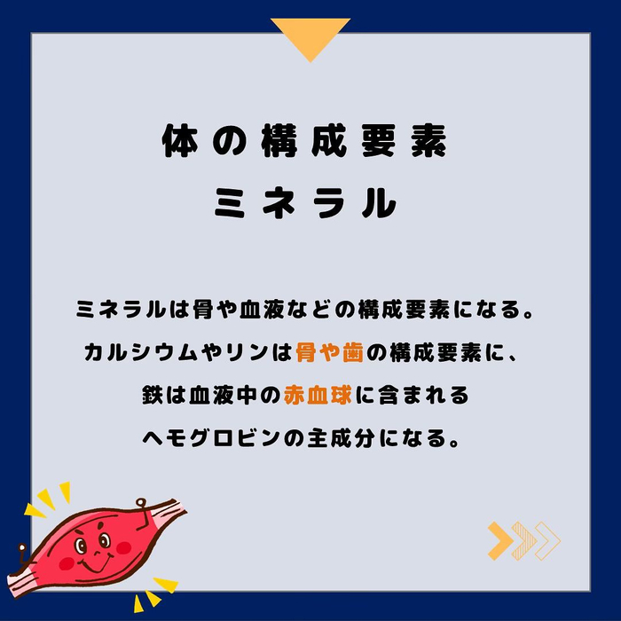 画像524