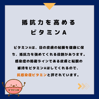 画像534