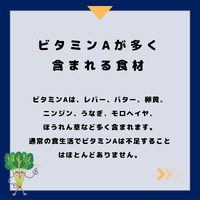 画像535